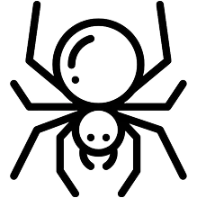 Spider & General Pest Control